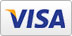 visa payment visa payment